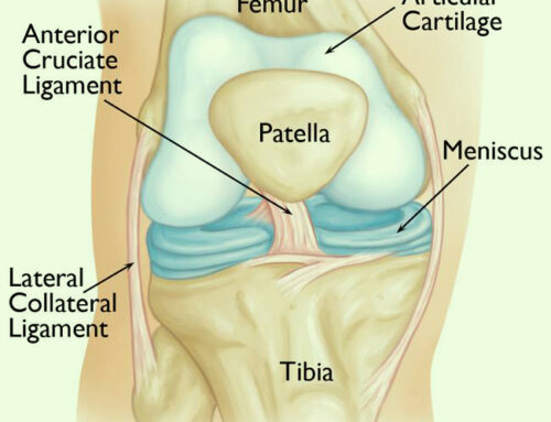 Advancement in Knee Cartilage Repair